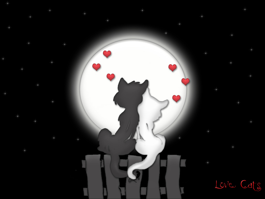 http://bundamahes.files.wordpress.com/2011/05/love_moon_cats1.jpg?w=1024&h=768